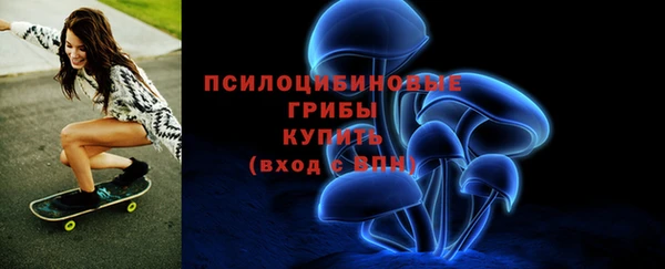 a pvp Алексин