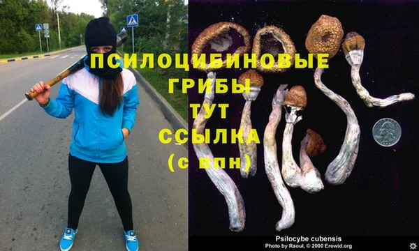 тгк Абаза