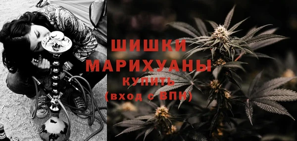 тгк Абаза