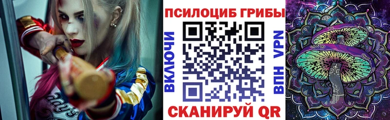 где купить   Тогучин  Галлюциногенные грибы Magic Shrooms 
